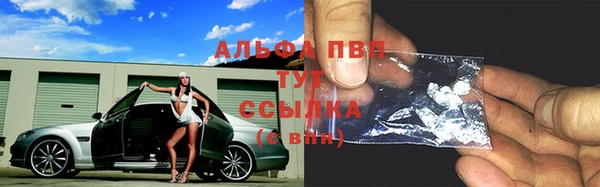 прущие грибы Зеленодольск