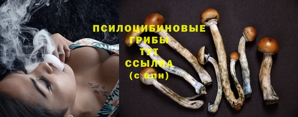 альфа пвп Инсар