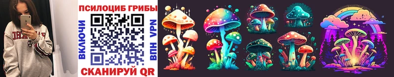 Псилоцибиновые грибы Psilocybe что такое сайты даркнета наркотические препараты Новодвинск