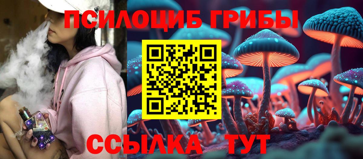 Галлюциногенные грибы Cubensis Новодвинск