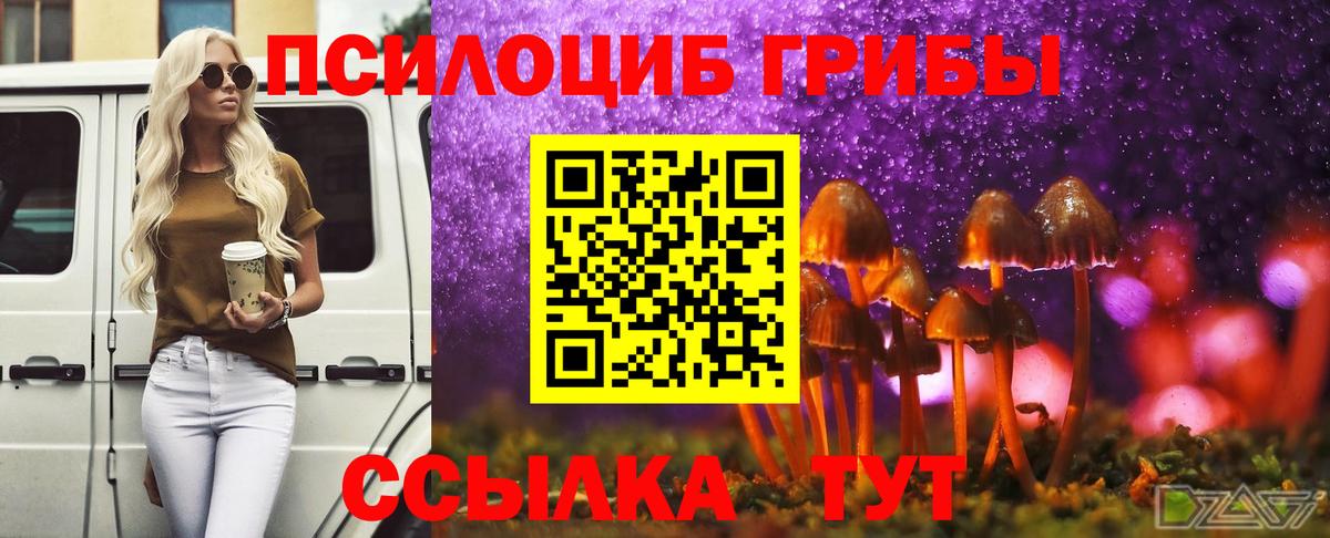 Псилоцибиновые грибы Psilocybine cubensis  Вход с VPN  Новодвинск 